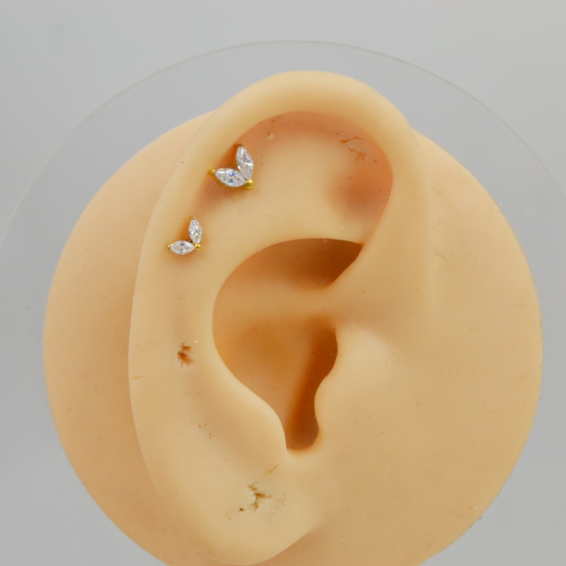 ต่างหูไทเทเนียม G23 มาตรฐาน AS - Rook Curved Barbell บทวิจารณ์และราคา